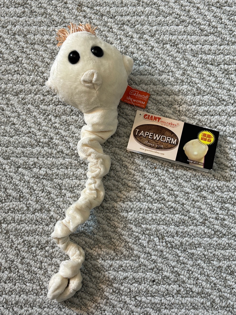 GIANTmicrobes Tapeworm Plush - NWT